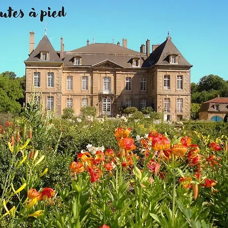 Lägenhet Flat Near Thionville Luxembourg Metz With Outdoor